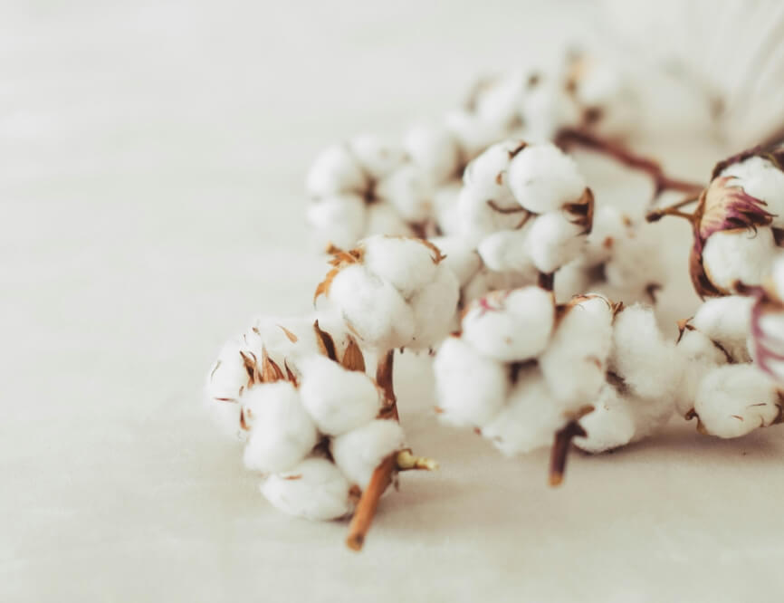 天然素材へのこだわり